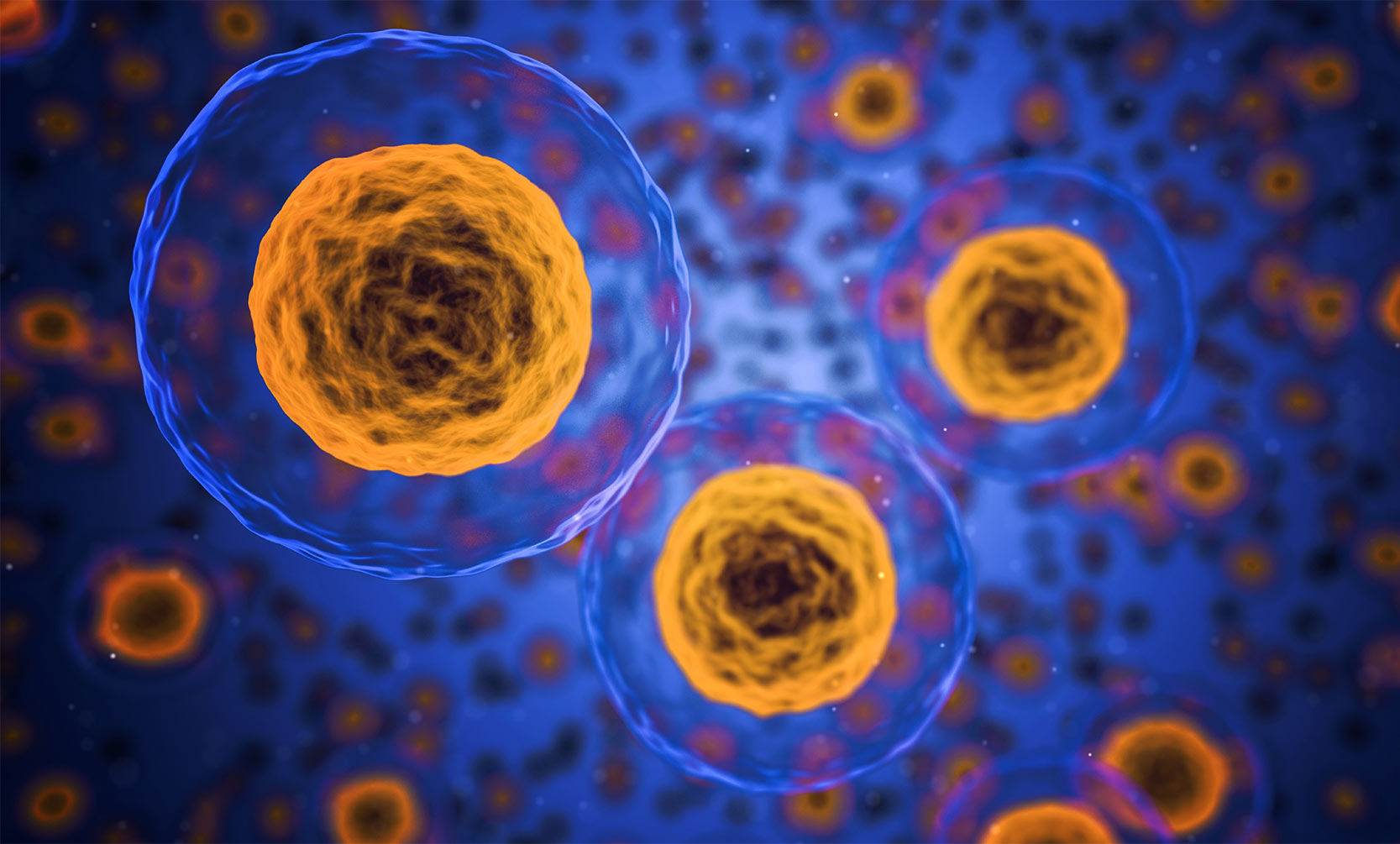 Artists rendering of cells on a blue background.