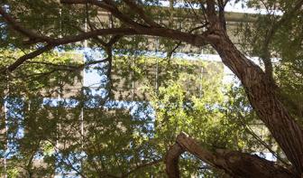 Graduate Certificate in Environmental Management